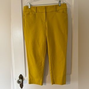 LOFT Marisa Cropped Ankle Pants Yellow 8P